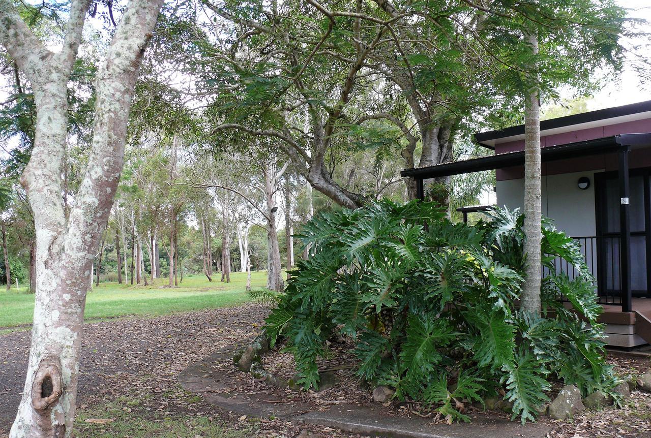 Lismore Lake Holiday Park Bagian luar foto